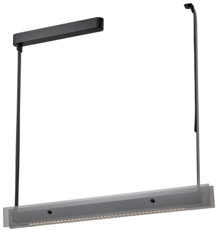 Светильник на штанге Wertmark Kuno WE435.10.023 