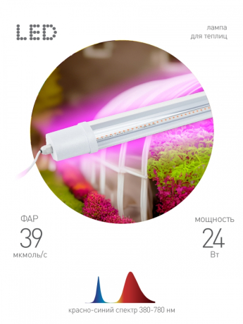 Светильник для растений, фитолампа светодиодная линейная ЭРА FITO-24W-RB-N красно-синего спектра 24 Вт Б0061425 