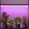 Светильник для растений, фитолампа светодиодная линейная ЭРА FITO-24W-RB-N красно-синего спектра 24 Вт Б0061425 