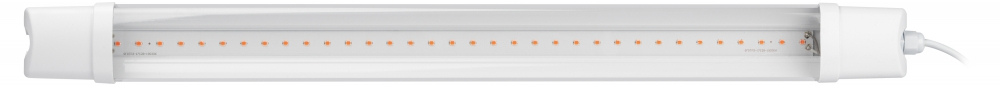 Светильник для растений, фитолампа светодиодная линейная ЭРА FITO-24W-RB-N красно-синего спектра 24 Вт Б0061425 