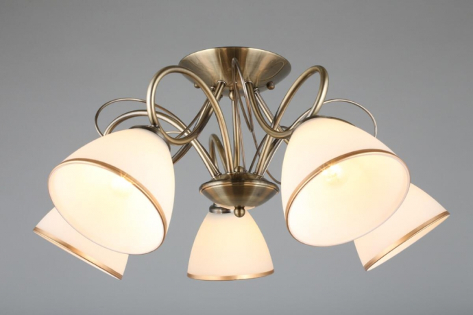 OML-25307-05 Потолочная люстра Omnilux Alimini 