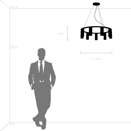 Подвесная люстра Lightstar Roma 718097 