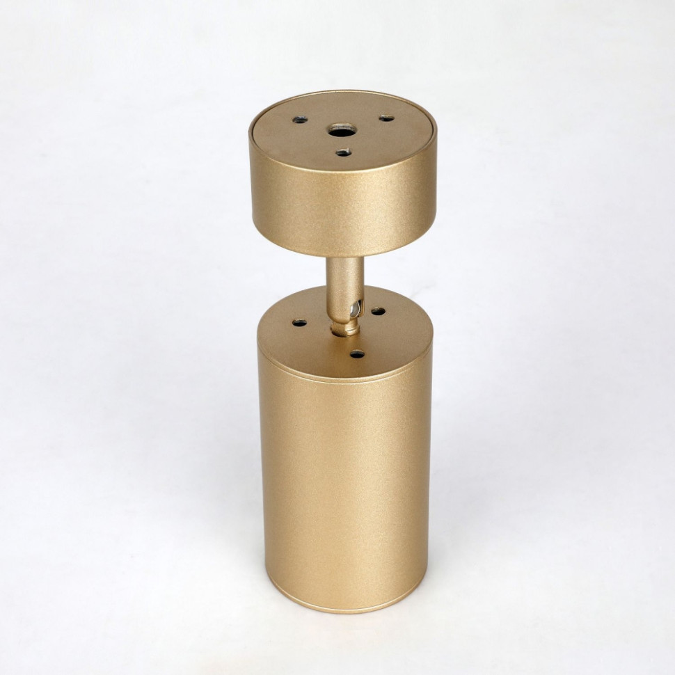 Потолочный поворотный светильник Favourite Angularis 2802-1U, цвет золото - фото 2