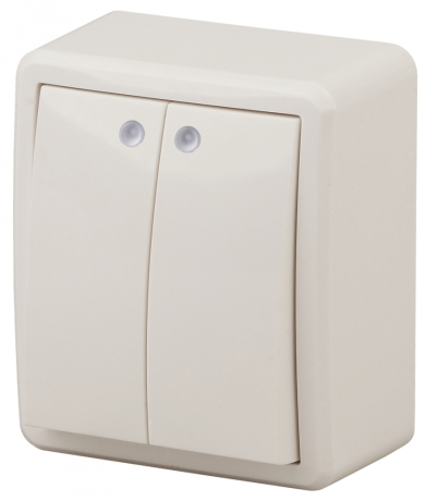 Переключатель двухклавишный с подсветкой ЭРА  10AX 250V 11-1205-02 169482