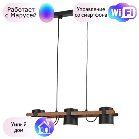 Подвесная люстра F-Promo Scandy с поддержкой Маруся 3004-3P-М 