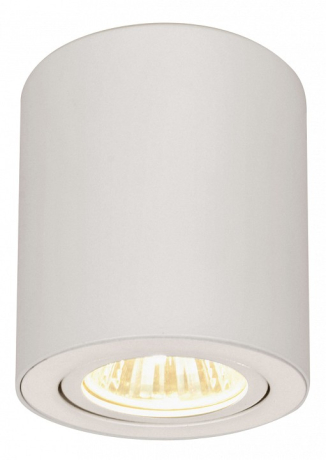 Накладной светильник Citilux Дюрен CL538111 