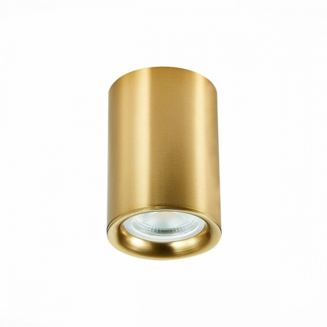 Светильник точечный с Led лампочками в комплекте ST Luce ST114.207.01+Lamps 