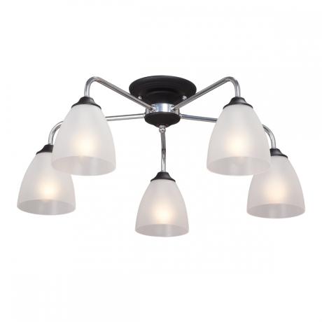 Потолочная люстра Vitaluce  V3946-1/5PL 