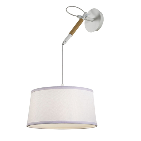 Светильник на штанге F-promo Eureka 3005-1P 