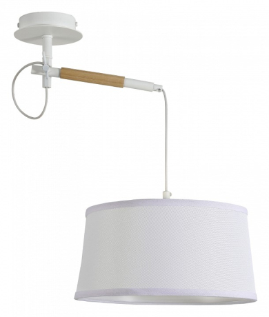 Светильник на штанге F-promo Eureka 3005-1P 