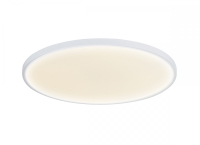 Накладной потолочный светодиодный светильник (блок питания в комплекте) Donolux Disco DL20171R48NW1W