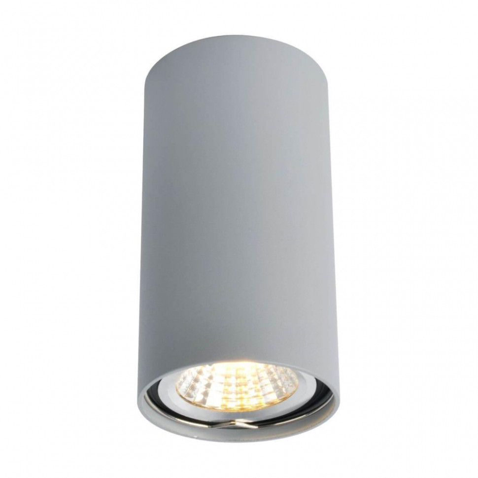 A1516PL-1GY Накладной точечный светильник Arte Lamp, цвет серый - фото 1