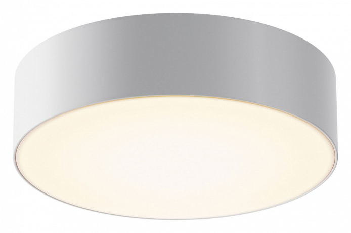 Накладной светильник Maytoni Outdoor Zon IP O431CL-L30W3K