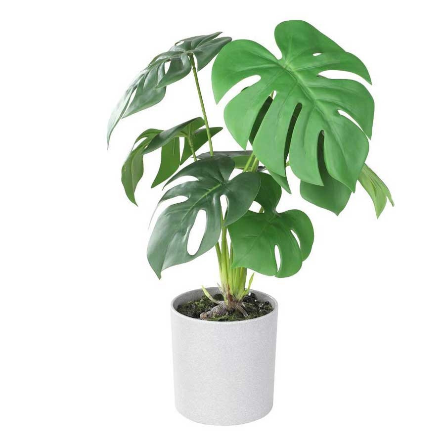 Искусственное растение в горшке Eglo TOBETSU (42801), цвет серый 428017 - фото 1