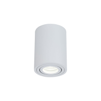 Накладной светильник Maytoni Technical Atom C016CL-01W