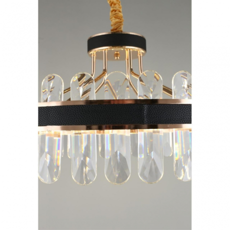 Подвесная светодиодная диммируемая люстра Aployt Honori APL.027.03.102 