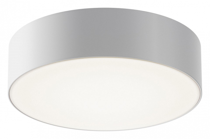 Накладной светильник Maytoni Outdoor Zon IP O431CL-L30W4K