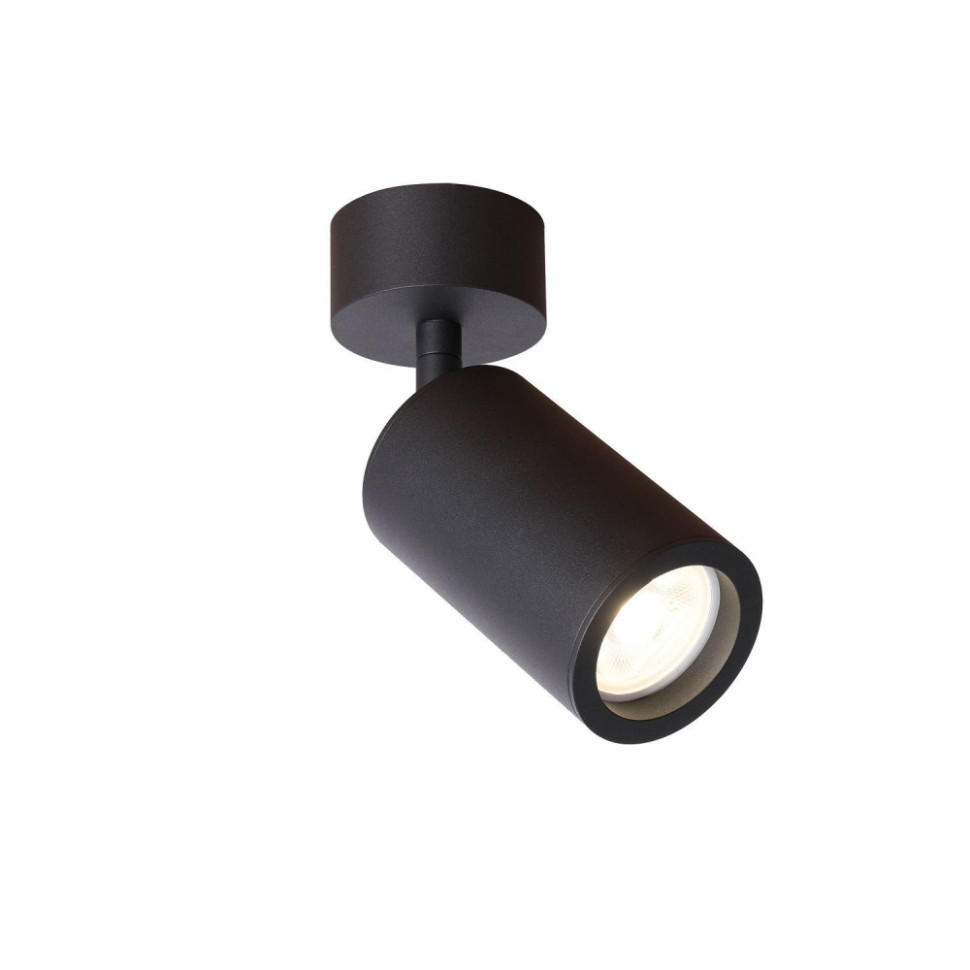 Потолочный поворотный светильник Favourite Angularis 2805-1U, цвет черный - фото 1