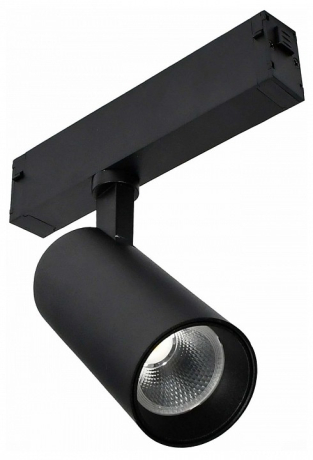 Светильник на штанге ST-Luce SKYLINE 220 ST660.446.10H 