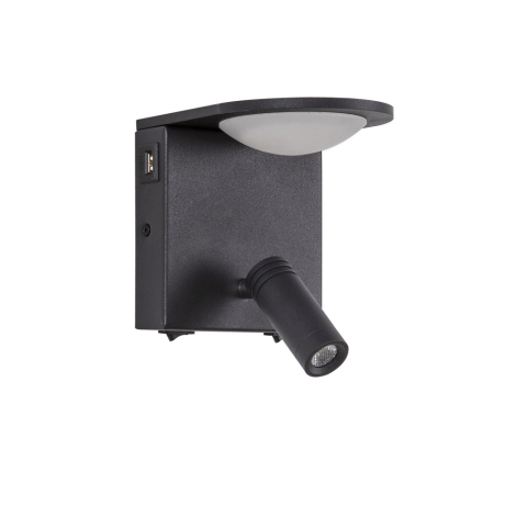 Бра с подсветкой Favourite Twin 4064-2W 