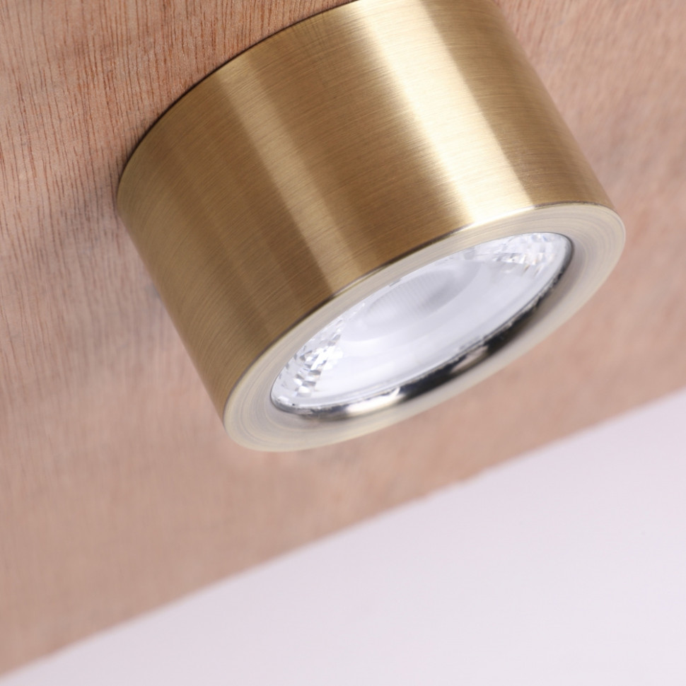 Потолочный накладной светильник Favourite Deorsum 2806-1U, цвет латунь - фото 3