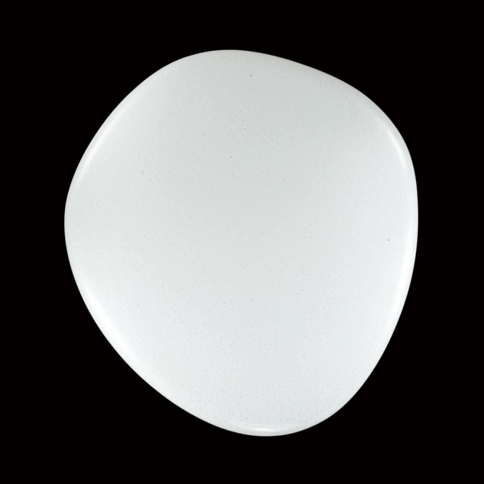 2039/DL Настенно-потолочный светодиодный светильник с пультом ДУ Sonex Stone, цвет белый 2039/DL - фото 4