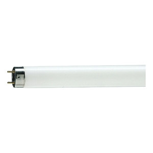 Люминесцентная лампа G13 58W 6200K (холодный) T8 SLV Philips (C0022118) - фото 1