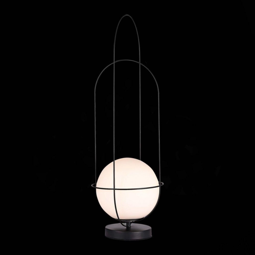 Настольная лампа ST Luce Beata SL1189.404.01, цвет черный - фото 3