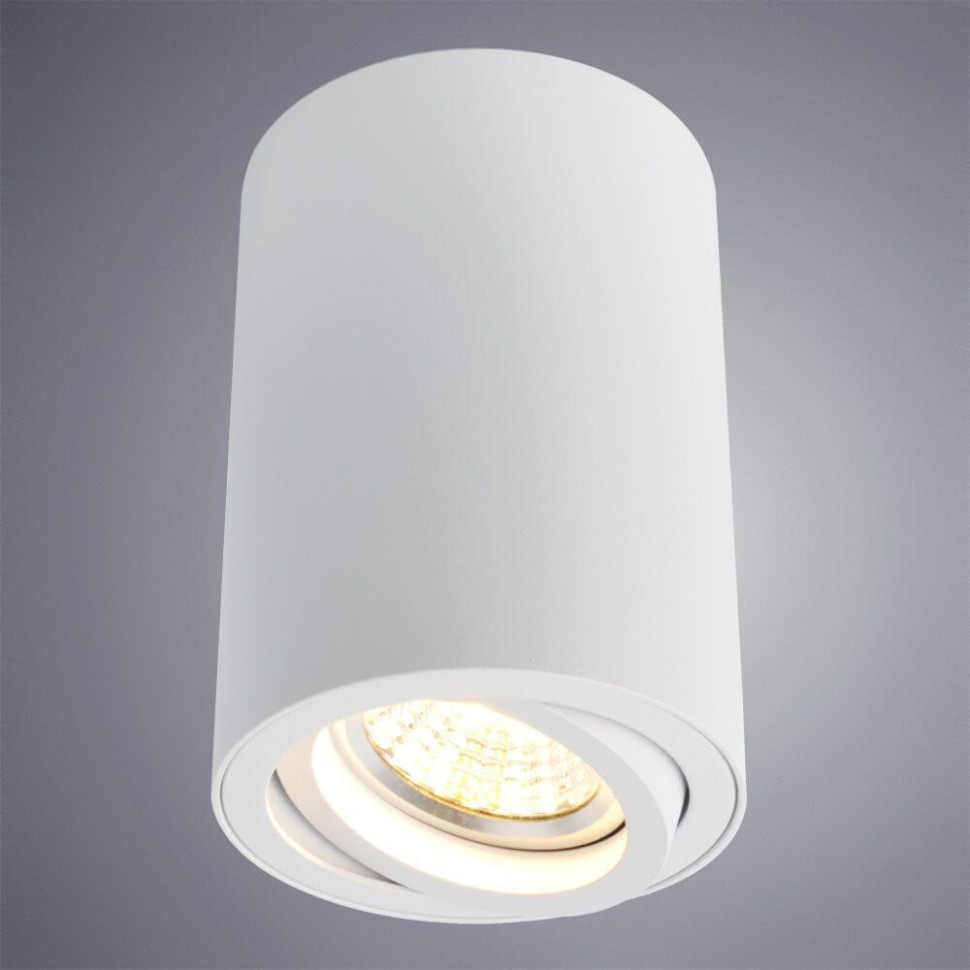 Накладной светильник Arte Lamp Sentry A1560PL-1WH светильник точечный накладной arte lamp sentry 2 м² белый