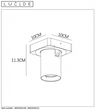 Спот Lucide Nigel 09929/05/30 