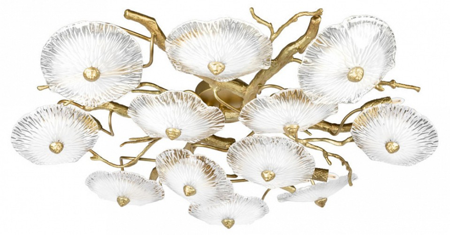 Потолочная люстра Loft it Bloom 10352/800C AB 