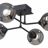 Потолочная люстра Vitaluce  V4795-1/4PL 