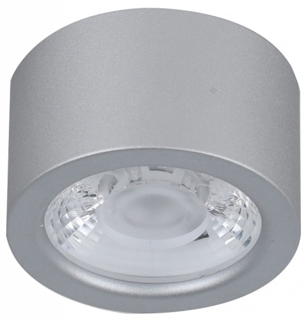 Накладной светильник Favourite Deorsum 2808-1U 