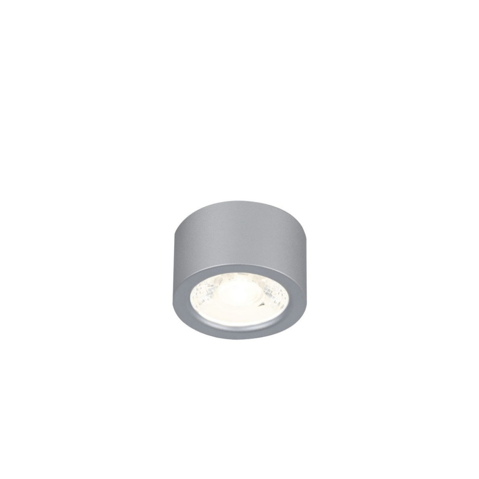 Потолочный накладной светильник Favourite Deorsum 2808-1U потолочный светодиодный светильник favourite deorsum 2808 1u