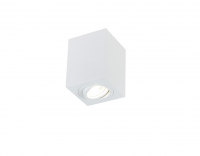 Накладной светильник SIMPLE STORY 2038 2038-1CLW