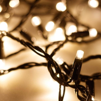 10м. Уличная гирлянда нить теплый свет Ardecoled 230V ARD-String-Pro-10000-Green-100Led-Std Warm (25854)