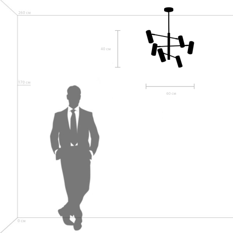 Люстра на штанге Lightstar Roma 718263 