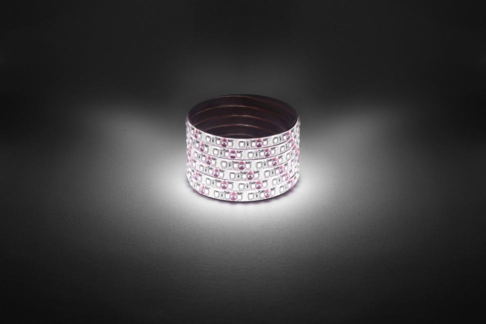 LS2835-96-120-12-4000K-IP65-1 year-5m Светодиодная лента ЭРА LS2835 -96-120-12-4000K-IP65-1 year-5m дневной белый 5м Б0059902 478₽