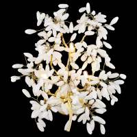 Светильник настенный, G9, 3x40W Wertmark DOROTHY WE193.03.401