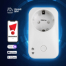 Умная розетка Wi-Fi Elektrostandard /00 (a054335)