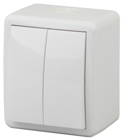 Выключатель двухклавишный ЭРА  10AX 250V IP54 11-1404-01 169490