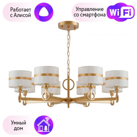 Подвесная люстра Mateo Favourite с поддержкой Алиса 2634-8P-A 