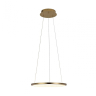 Подвесной светильник Loft it Ring 10014S