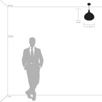 798031 Подвесной светильник Lightstar Genni