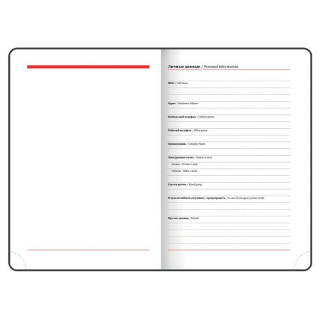 Нарушена упаковка!  <442598> Ежедневник недатированный А5 138х213 мм BRAUBERG "Towny", под кожу, магнитный клапан, 160 л., белый, 114459 (114459)