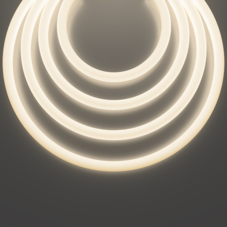 Гибкий неон Led Strip 20307 