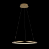 Светильник подвесной светодиодный Loft It Ring 10014M 