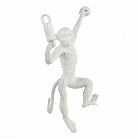 Накладной светильник EVOLUCE Tenato SLE115111-01 