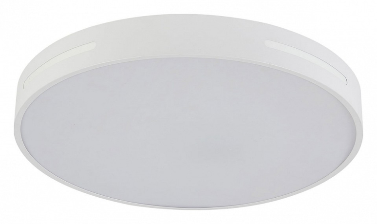 Накладной светильник Natali Kovaltseva Modern LED LAMPS 81334 