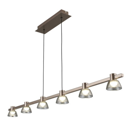 Подвесной светильник Aployt Rezeda APL.788.03.06